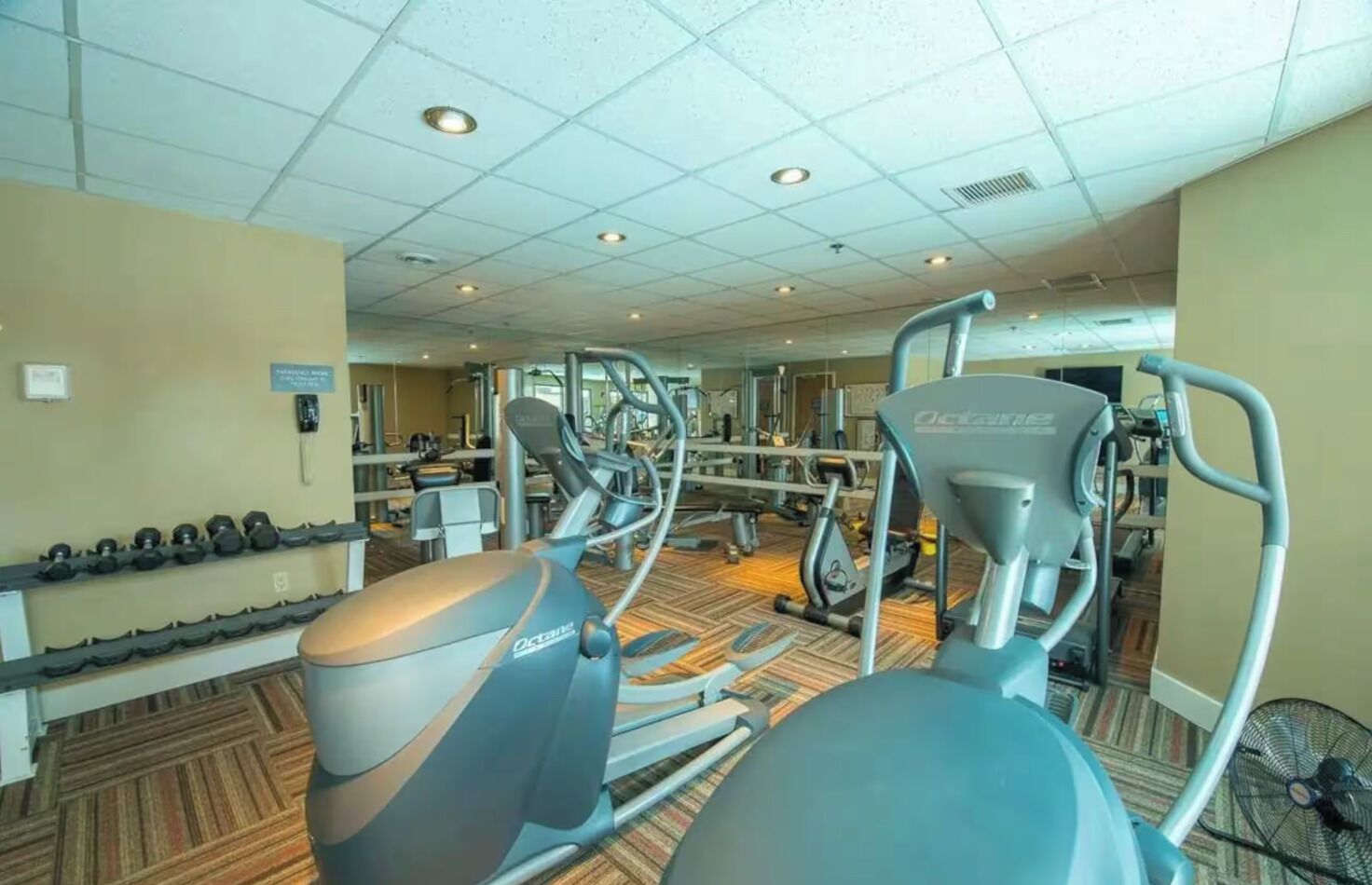 Un gimnasio con cintas de correr, elípticas y pesas sueltas.