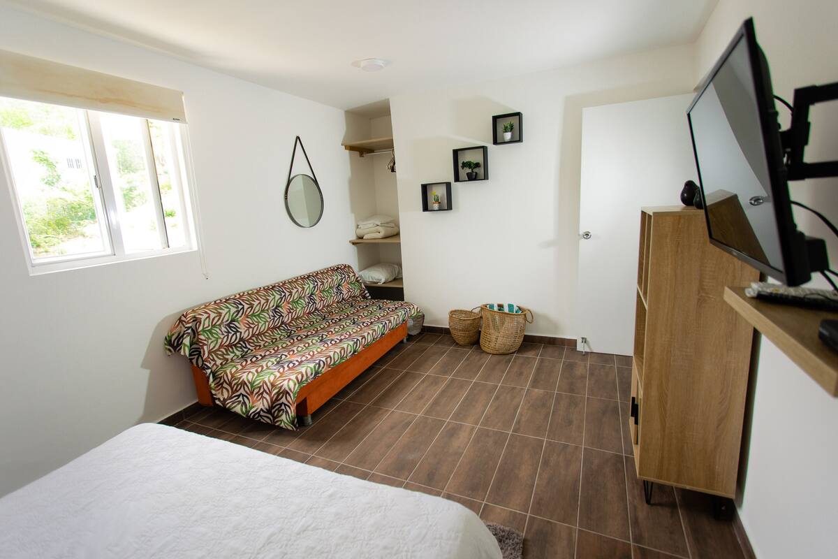 A bedroom with a bed, a sofa, a TV, a mirror, and a small shelf with plants.