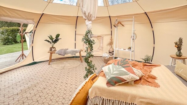 A cozy, tent-style interior with a bed, a hanging plant, and a view of the outdoors. - Erw Glas Glamping and Camping (Llanrwst)