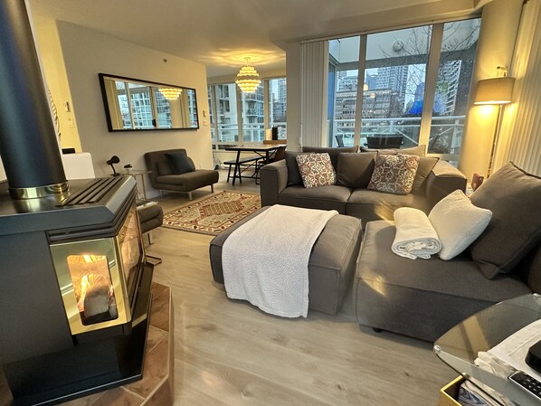 Smart TV, fireplace, books, music library