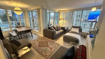 Smart TV, fireplace, books, music library