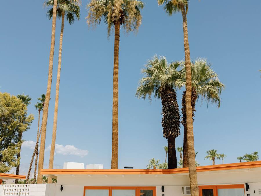 A modern building with tall palm trees, large windows, and a well-maintained lawn.