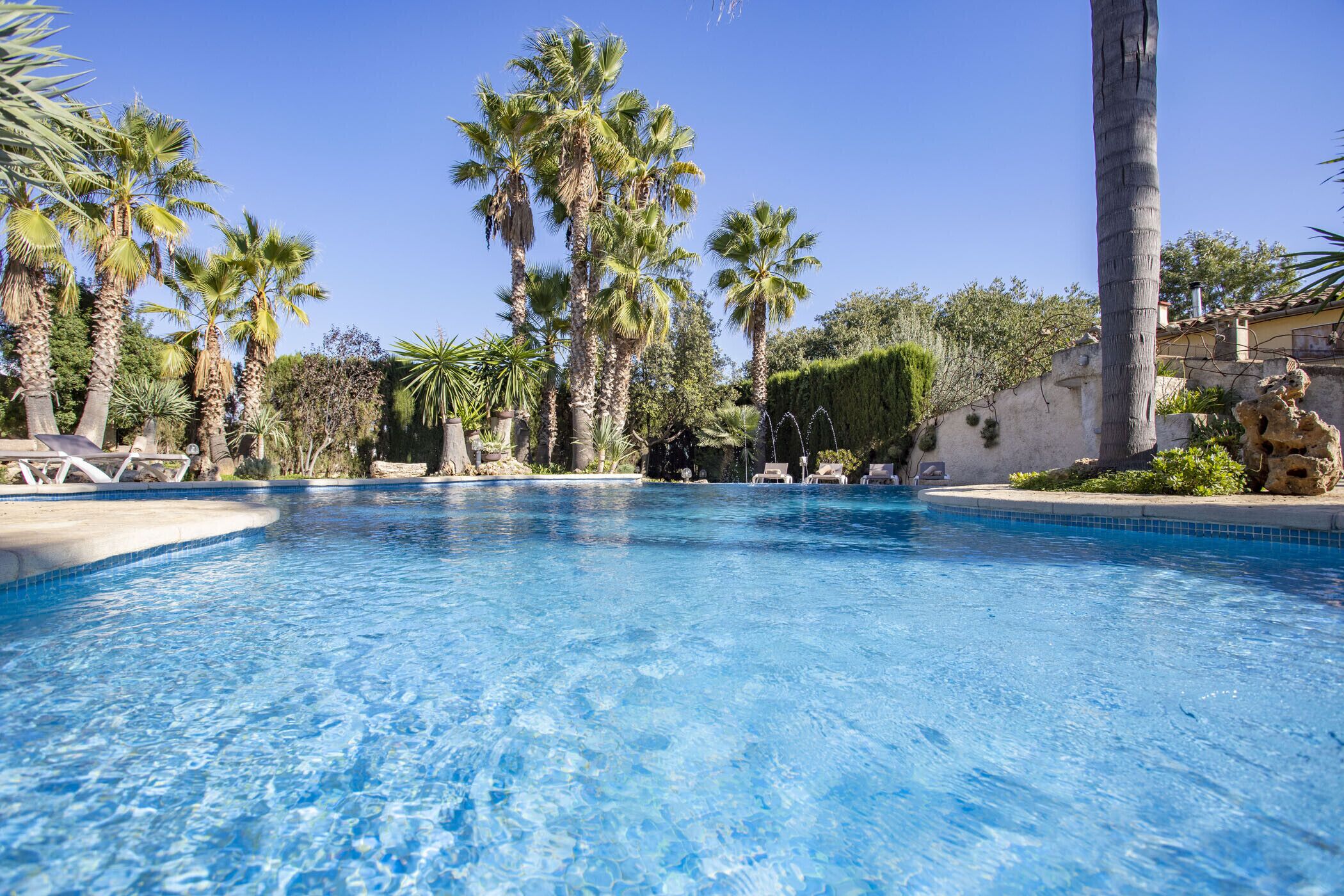 A clear blue swimming pool surrounded by palm trees and lounge chairs.