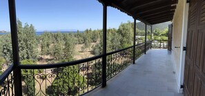 Property grounds - Thalatta & Oros Traditional Villa in Tyros (South Kynouria)