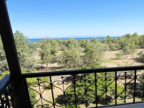 Property grounds - Thalatta & Oros Traditional Villa in Tyros (South Kynouria)