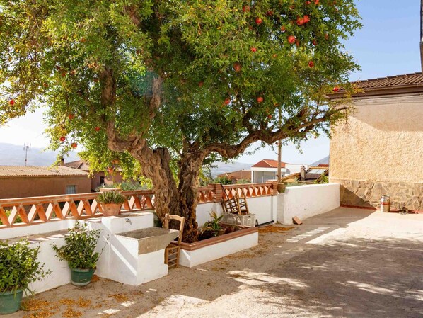 Terras