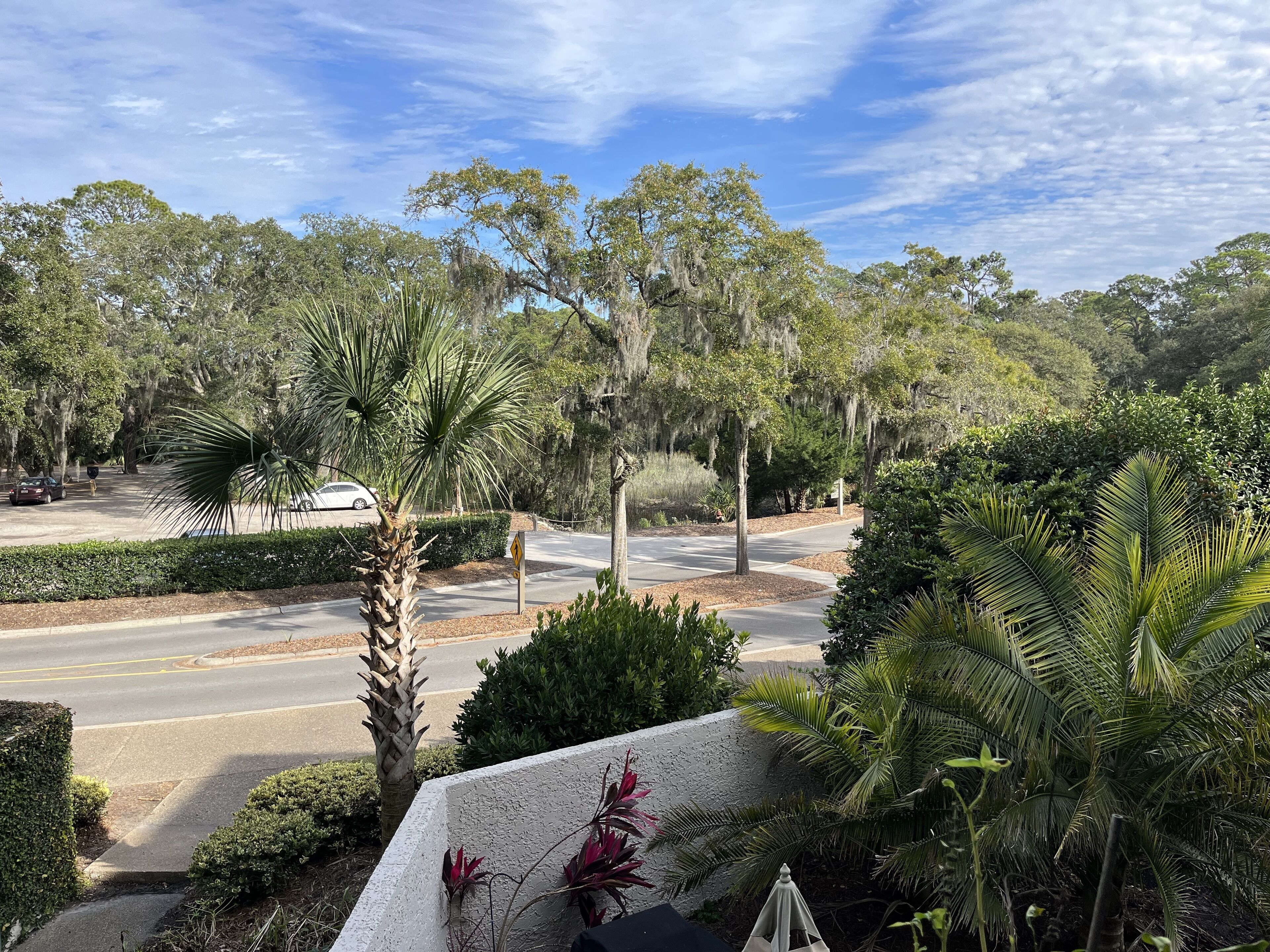 A residential street with palm trees, a white car, and a pedestrian.