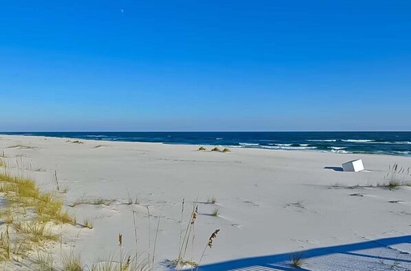A beach with white sand and sparse vegetation, a clear blue sky, and the ocean in the background. - Spanish Key 507 | Steps from Flora Bama | Oceanfront Condo | Pools, Hot Tub, Gym & More! (Pensacola)