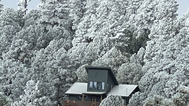 Une cabane entourée d’arbres couverts de neige.