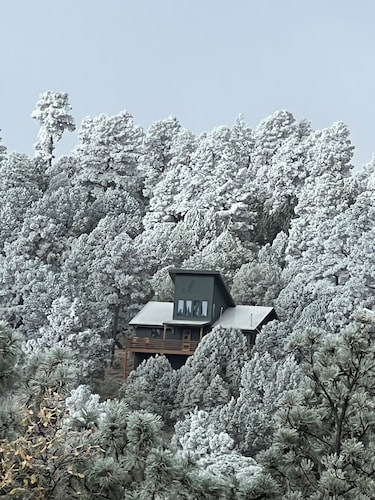 Deer Lover's Paradise