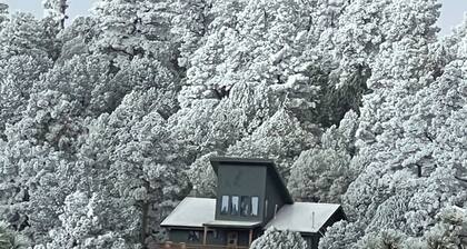 Deer Lover's Paradise