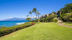 Ein Küstenhotel mit gepflegter Rasenfläche, Palmen und Blick auf das Meer und die Berge.