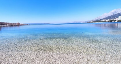 Une charmante oasis au cœur de la ville 2
