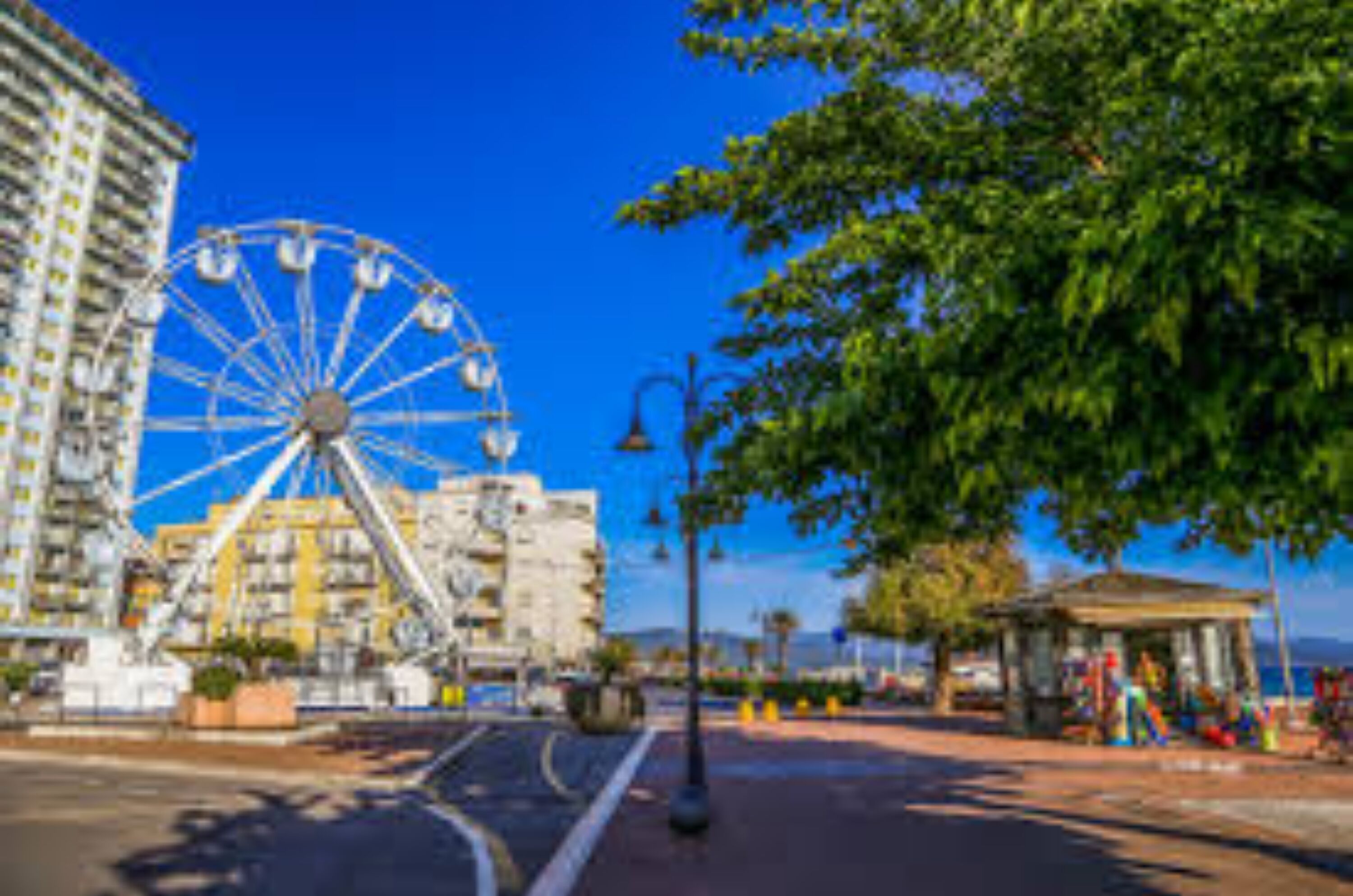 A Ferris wheel, a building, and a tree in a sunny outdoor setting.