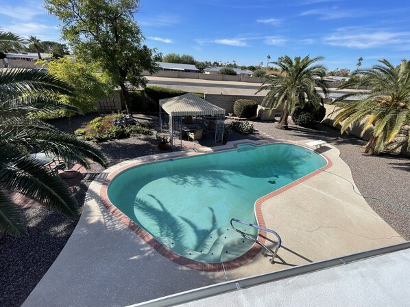 Una piscina de borde curvo, rodeada por una terraza de hormigón y palmeras.