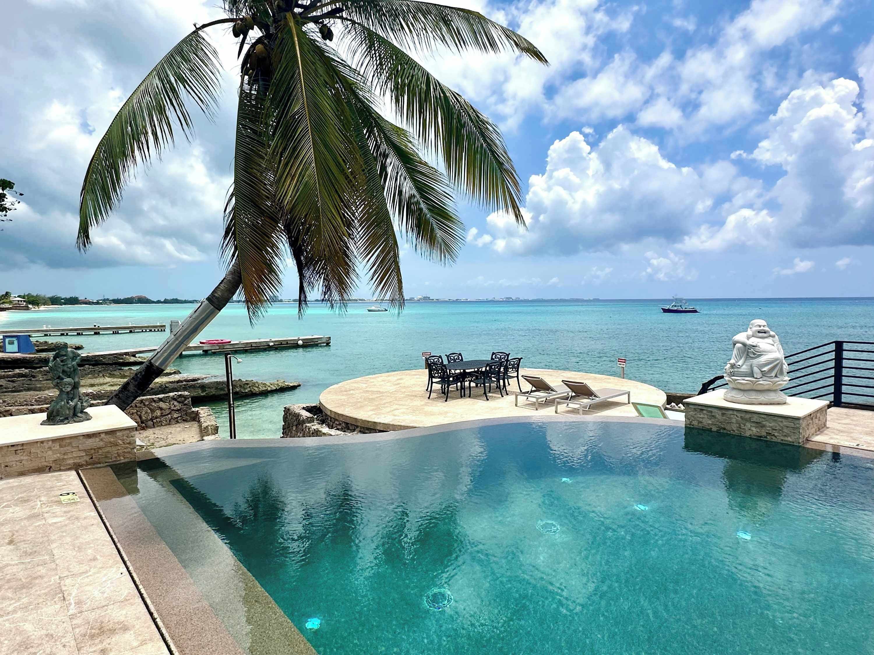 A clear pool with a view of the ocean, a palm tree, and a statue.