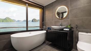 Shower, hydromassage showerhead, free toiletries, hair dryer