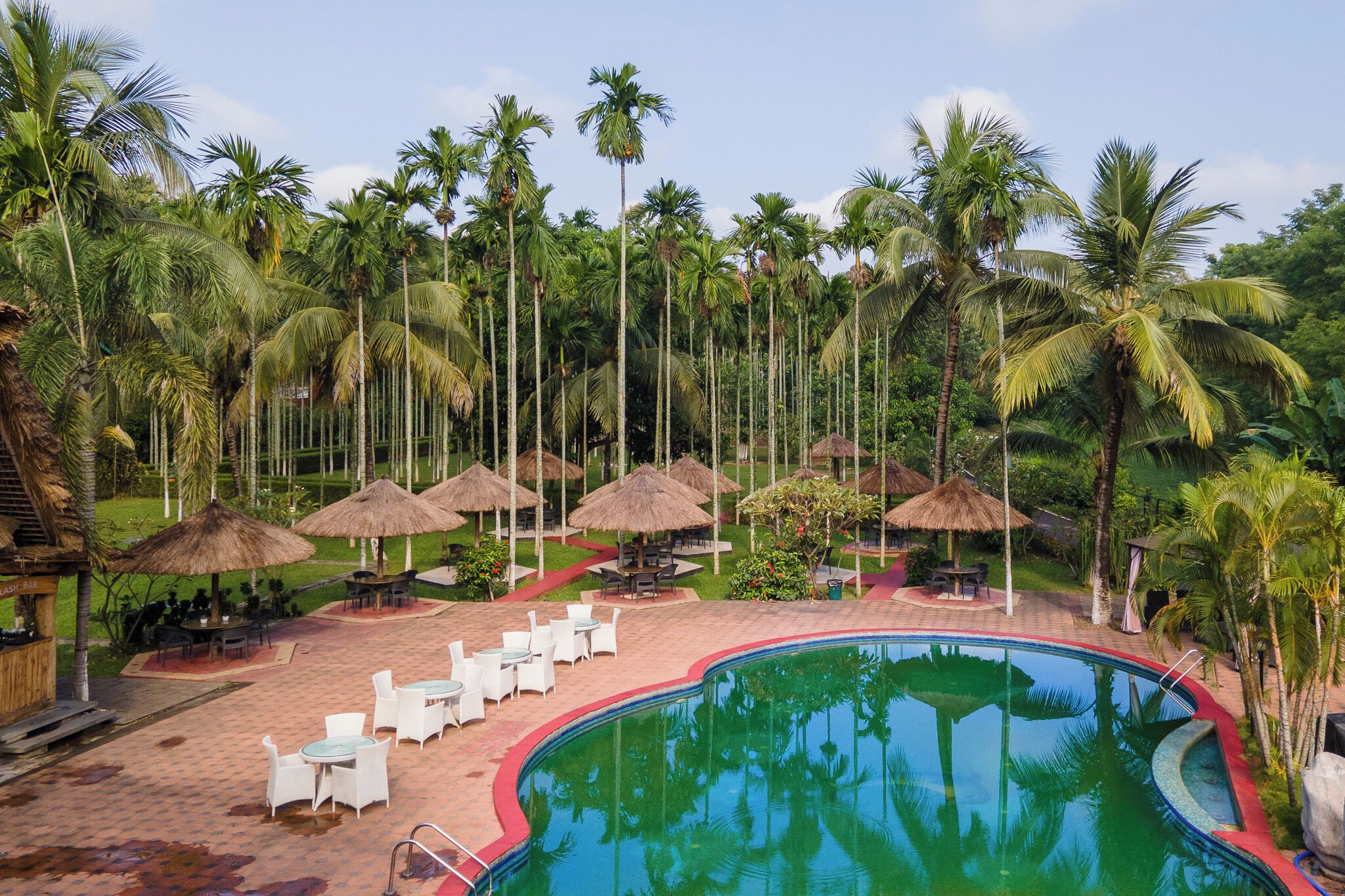 A pool area with palm trees, umbrellas, and lounge chairs.