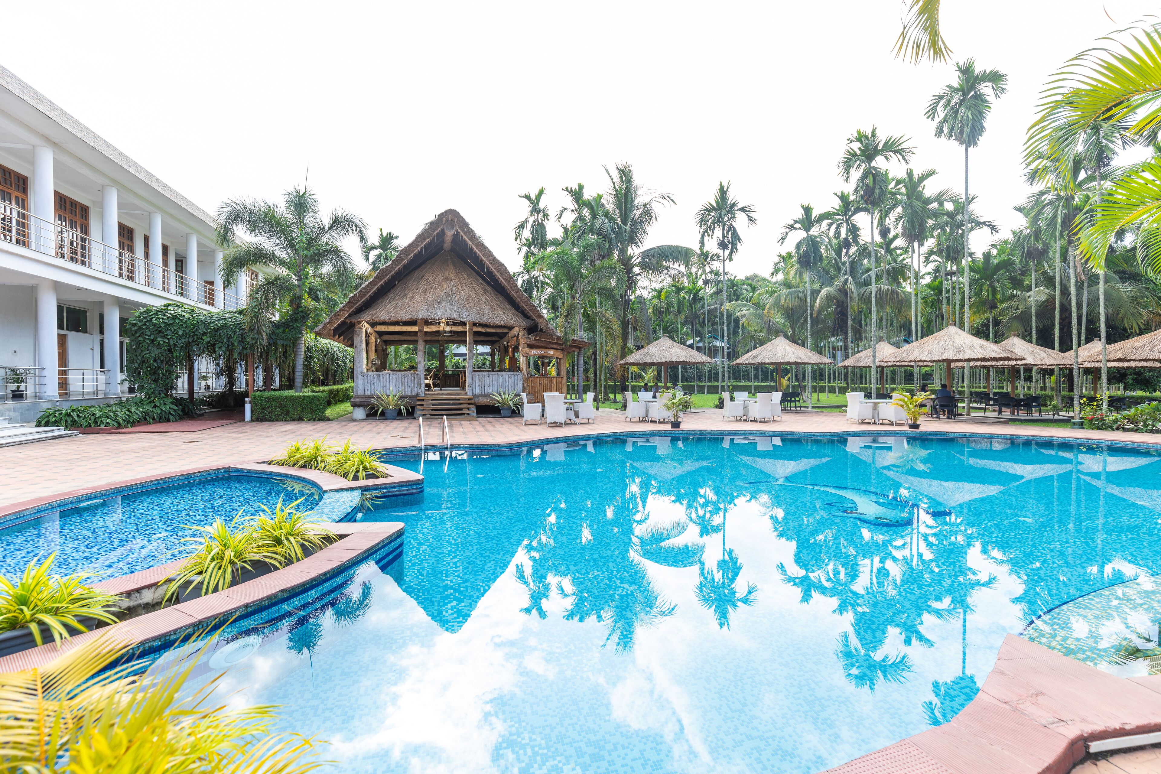 Hồ bơi ngoài trời 