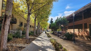 Stroll along the serene urban pathway lined with mature trees and historic buildings.