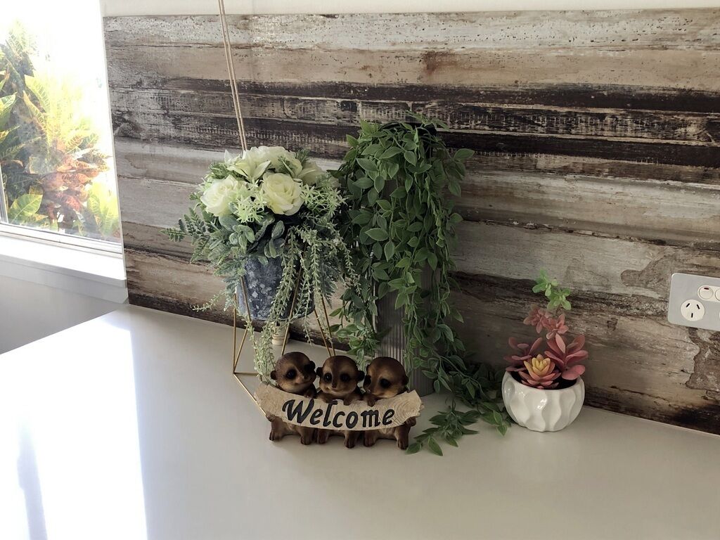 A reception area with a wooden wall, a welcome sign, a hanging plant, and a small potted plant.
