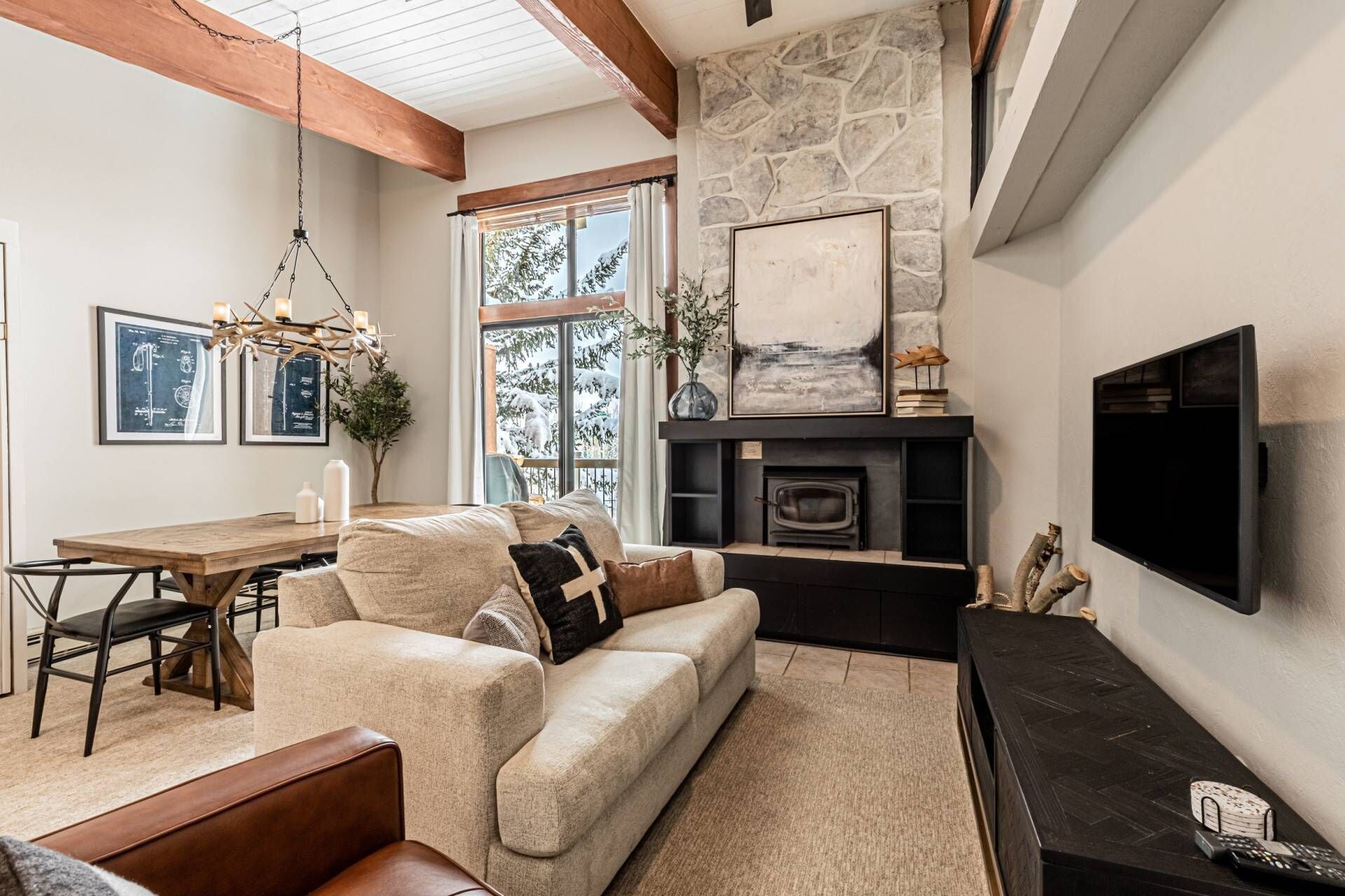 Smart TV, fireplace, DVD player, books