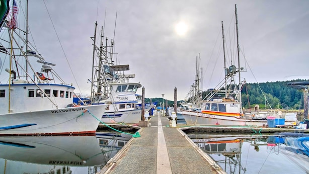 Un puerto deportivo con varias embarcaciones amarradas, cielo despejado y superficie de agua tranquila que refleja las barcas.
