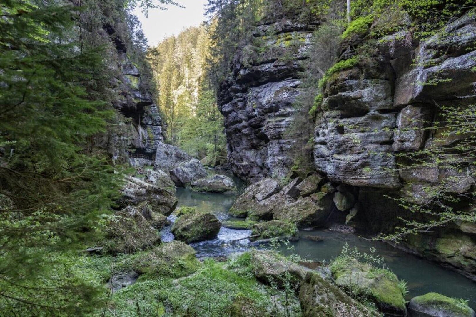 Una profunda gorja rocosa amb un rierol, envoltada per un bosc dens.