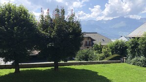 Un espace verdoyant avec un arbre et un bâtiment en arrière-plan.