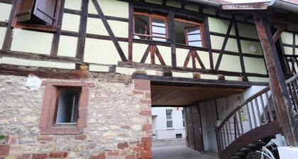 homday cultivateur 3