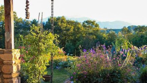 A garden with potted plants and a stone wall. - GÎTE DE LA COLLINE AUX FRAMBOISES (Oloron-Sainte-Marie)