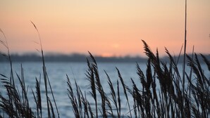 A sunset over a body of water with tall grasses in the foreground. - Landlord Doppelzimmer  22 (Kopendorf auf Fehmarn)