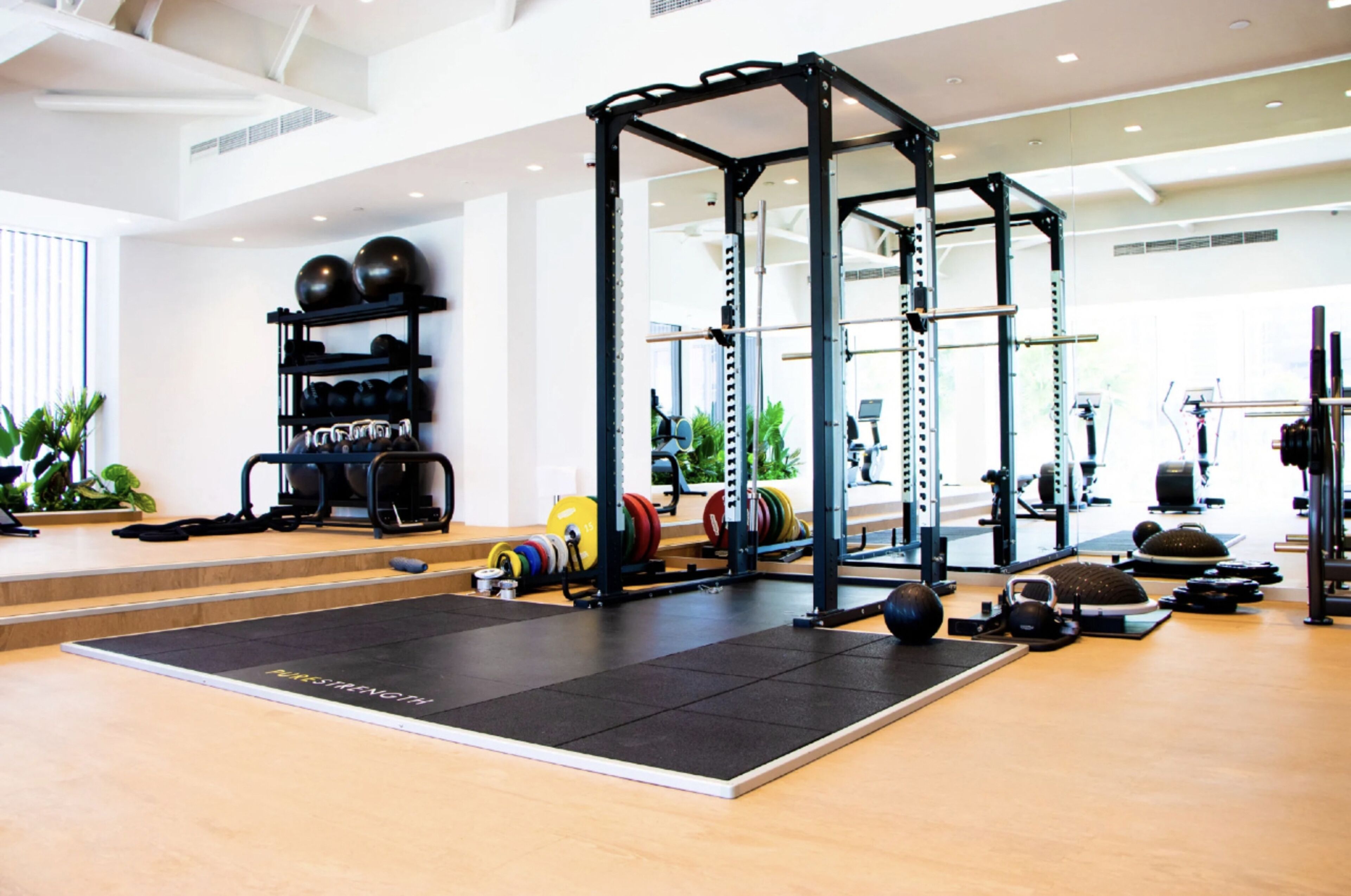 Ein Fitnessraum mit einem Squat-Stand, Gewichte und einer Matte mit dem Aufdruck 'NEWTON'.