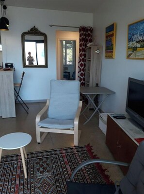 TV, DVD player, books