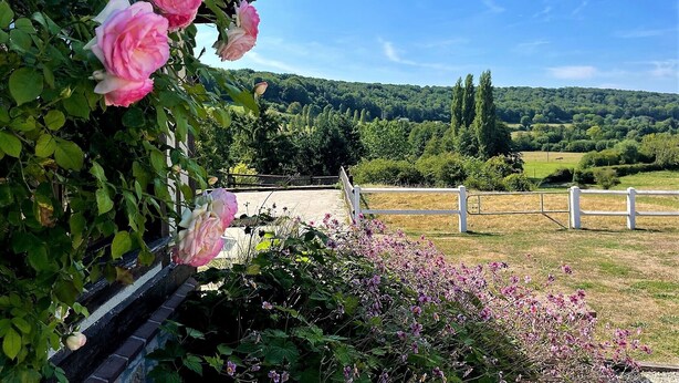 Un jardín con rosas rosadas y vistas a un paisaje verde con árboles y una valla blanca.