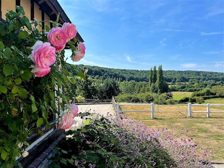 Property grounds. Gîte Marguerite - Pétale, 360° view, 5 min of Cerza, 30 min of Deauville - Sauna