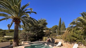 A swimming pool with lounge chairs and palm trees.
