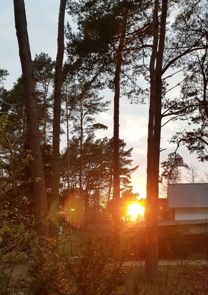 المنطقة المحيطة بالمنشأة