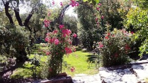 A garden with a stone pathway, lush greenery, and flowering plants. - Villa & Spa Mas des Oliviers: Heated pool, sauna, steam room, hot tub, panoramic view (Châteauneuf-Grasse)