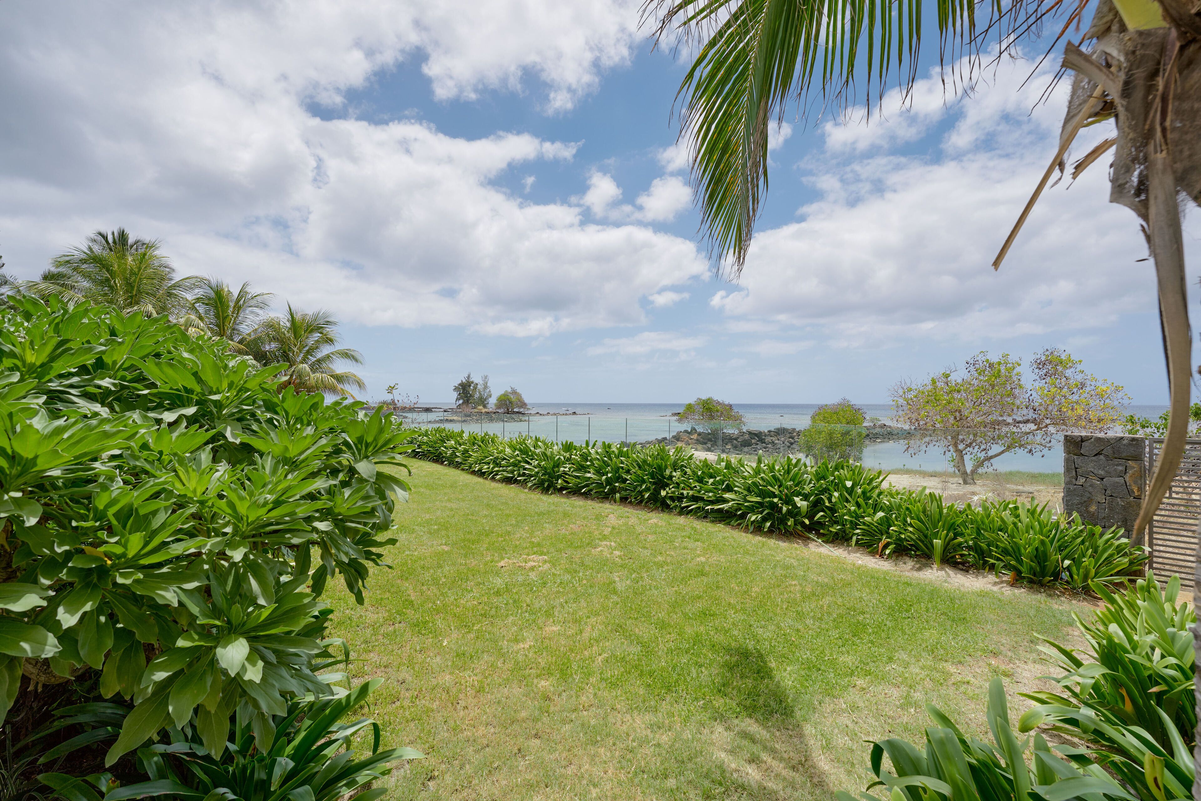 Un jardin aménagé avec vue sur la mer, agrémenté de palmiers, d’un mur en pierre et d’une pelouse.