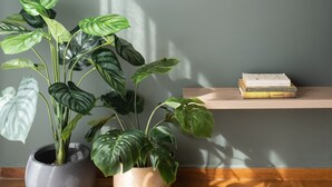 A modern interior with a wall-mounted light fixture, potted plants, and a wooden shelf. - Deluxe 4 Bedrooms Apartment in Athens Center (Athens)