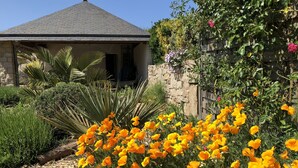Une maison avec une façade en pierre, un mur en pierre et un jardin agrémenté de fleurs jaunes et de plantes vertes.