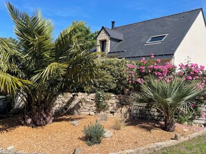 Une maison avec un mur en pierre, un escalier en pierre et un jardin agrémenté de palmiers et de fleurs roses.