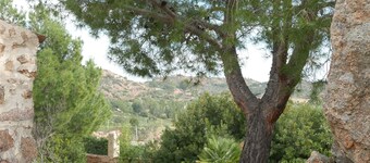 Su Crastu Charming house, lovely garden, 10 minutes from the beach