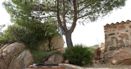 Charming house, beautiful garden, 10 minutes from the beach