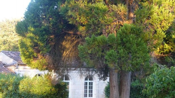 A traditional stone building with a white facade and arched windows, surrounded by dense greenery and trees. - Charming Cottage with Private Gardens, Baby Gear, Near Cognac (Cognac)