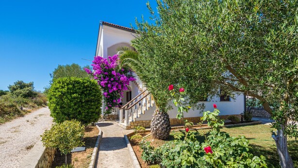 A white villa with a stone staircase leading to a balcony, surrounded by lush greenery and flowering plants. - Apartment Susa (Vir)