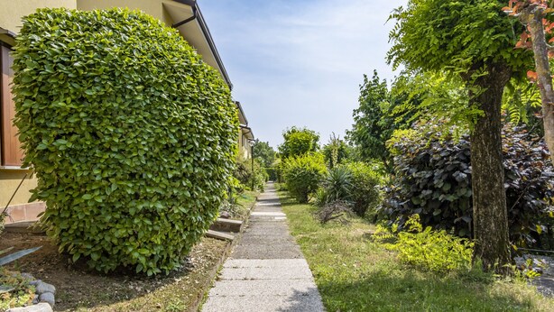 A pathway flanked by lush greenery and a building with a well-maintained hedge. - Lisa's Apartment (Muscoline)
