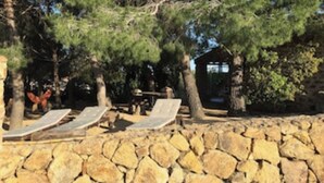 Un muro de piedra con dos sillones de madera y una pequeña construcción de madera en un área boscosa.