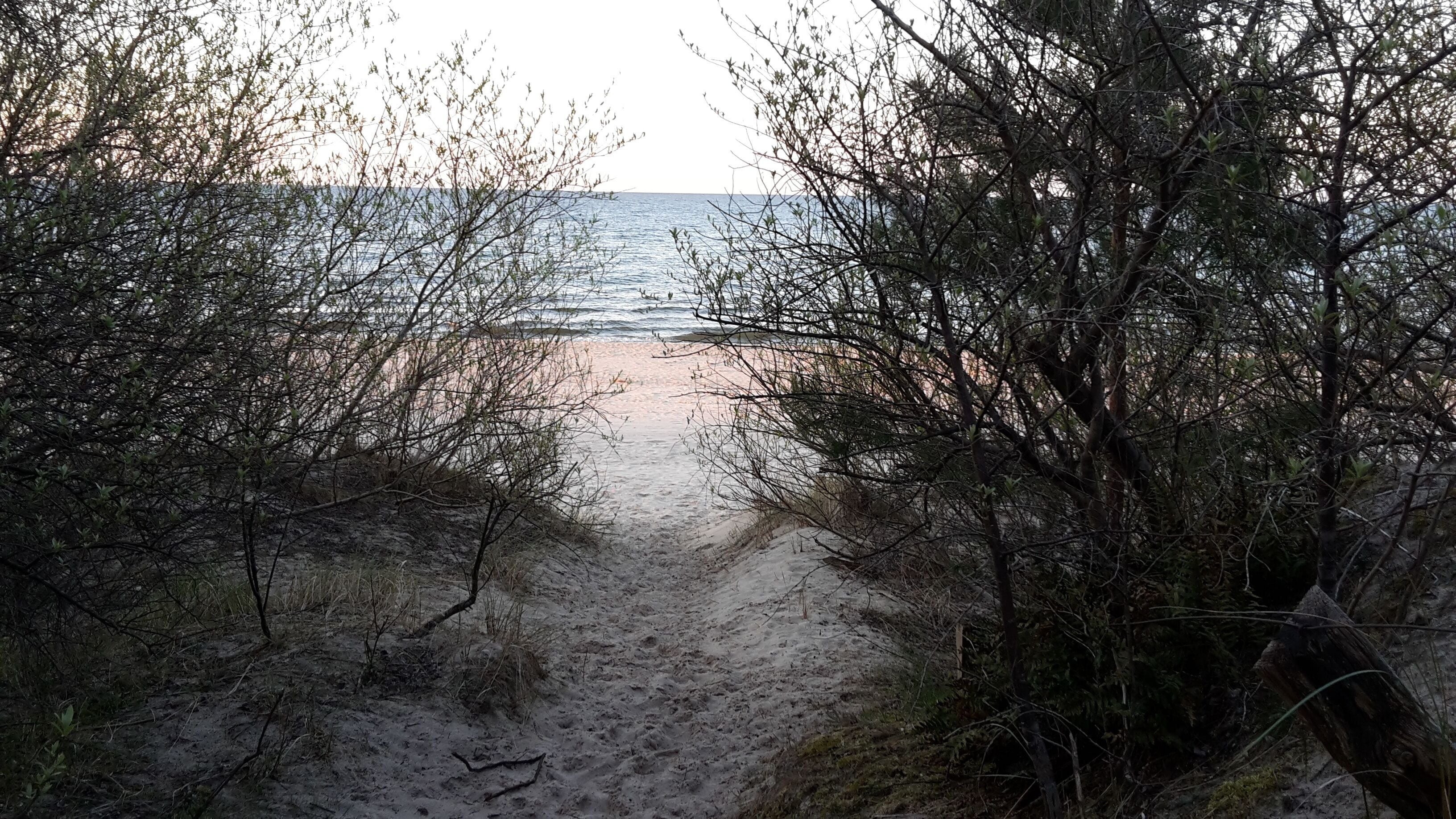 بالقرب من الشاطئ